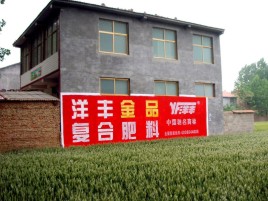 马尔康如何让墙体广告展现最大化效果